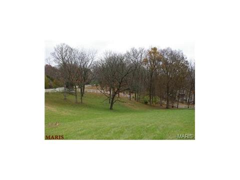 636 Strecker Rd, Wildwood, MO 63011 photo 53