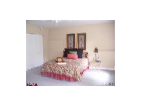 636 Strecker Rd, Wildwood, MO 63011 photo 42
