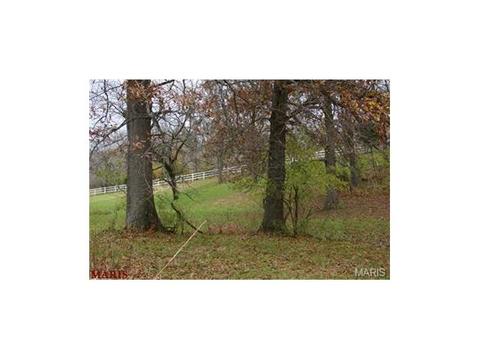 636 Strecker Rd, Wildwood, MO 63011 photo 50