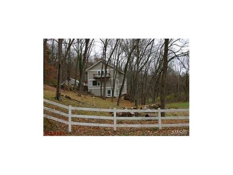 636 Strecker Rd, Wildwood, MO 63011 photo 35
