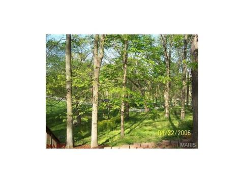 636 Strecker Rd, Wildwood, MO 63011 photo 37