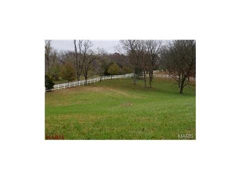 636 Strecker Rd, Wildwood, MO 63011 photo 8