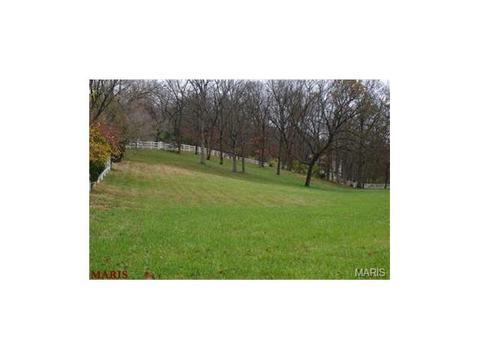 636 Strecker Rd, Wildwood, MO 63011 photo 4