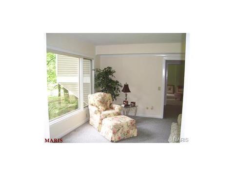 636 Strecker Rd, Wildwood, MO 63011 photo 38