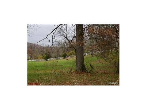 636 Strecker Rd, Wildwood, MO 63011 photo 49