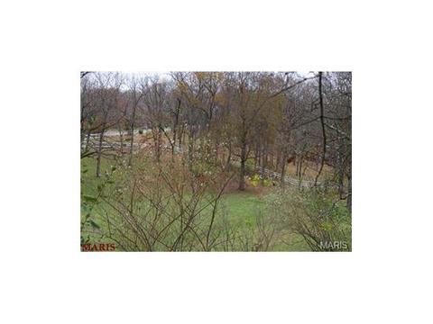 636 Strecker Rd, Wildwood, MO 63011 photo 54