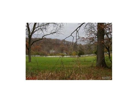 636 Strecker Rd, Wildwood, MO 63011 photo 51