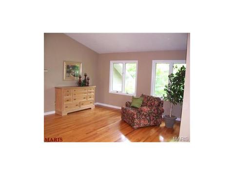 636 Strecker Rd, Wildwood, MO 63011 photo 15