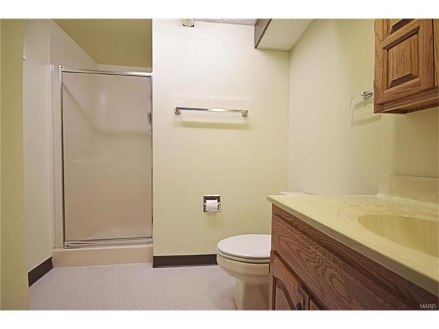 911 Kammerly Ter, Ballwin, MO 63021 photo 24