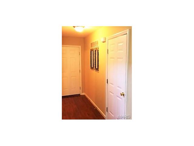 125 Brushy Brook Dr, O'fallon, MO 63366 photo 10