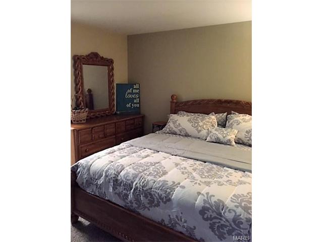 125 Brushy Brook Dr, O'fallon, MO 63366 photo 15