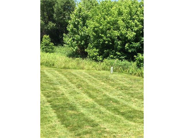 125 Brushy Brook Dr, O'fallon, MO 63366 photo 29