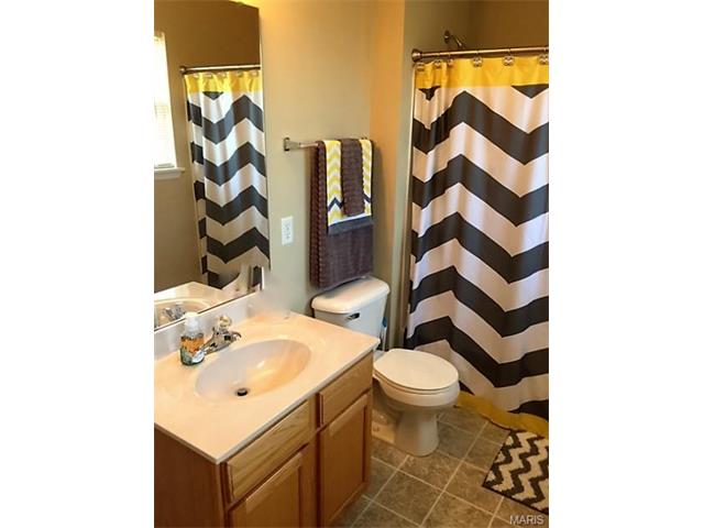 125 Brushy Brook Dr, O'fallon, MO 63366 photo 18
