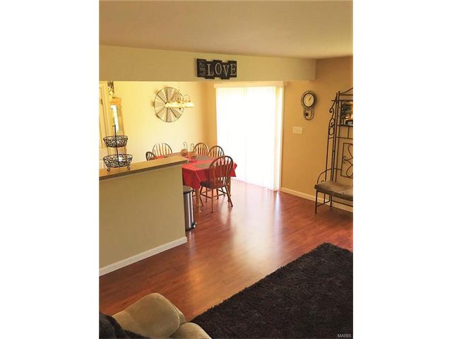 125 Brushy Brook Dr, O'fallon, MO 63366 photo 8