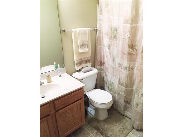 125 Brushy Brook Dr, O'fallon, MO 63366 photo 16