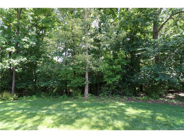 864 Ginger Wood Ct, Ballwin, MO 63021 photo 21