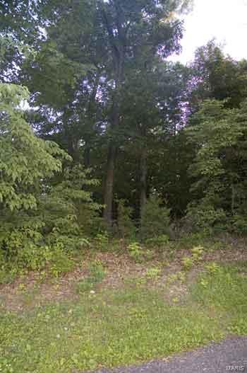 19128 Hawk Mountain Rd, Glencoe, MO 63038 photo 2
