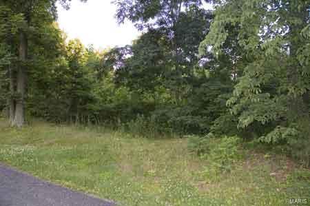 19128 Hawk Mountain Rd, Glencoe, MO 63038 photo 3