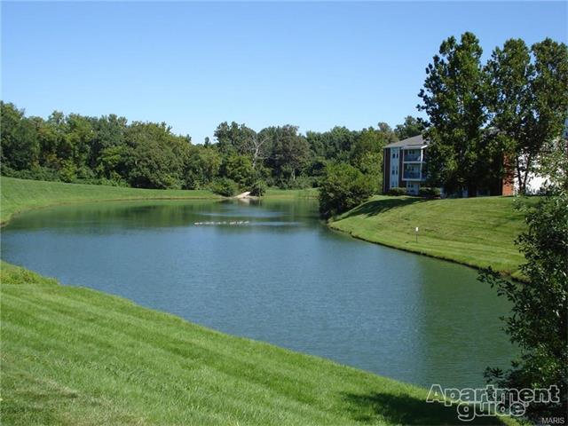 402 Waterside Dr, Grover, MO 63040 photo 18