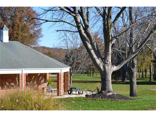 632 Legends View Dr, Eureka, MO 63025 photo 59