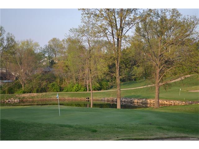 632 Legends View Dr, Eureka, MO 63025 photo 60