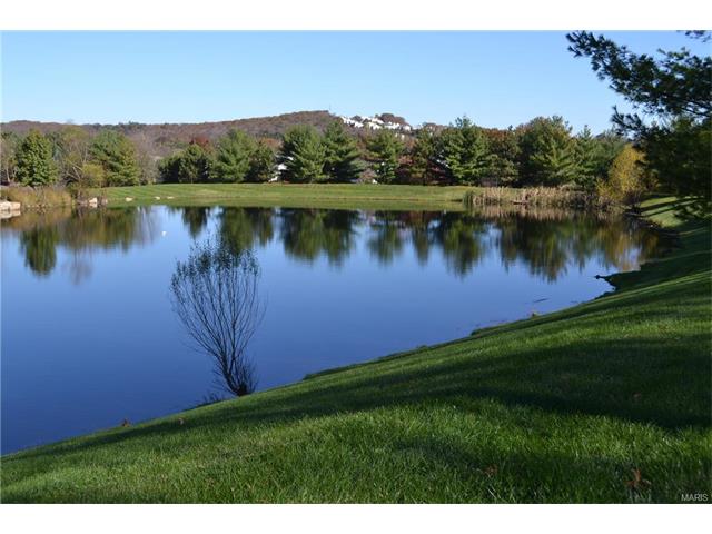 632 Legends View Dr, Eureka, MO 63025 photo 48