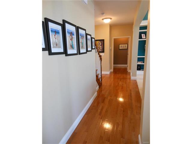 20 Clear Meadows Ct, O'fallon, MO 63366 photo 16