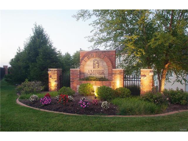 20 Clear Meadows Ct, O'fallon, MO 63366 photo 37