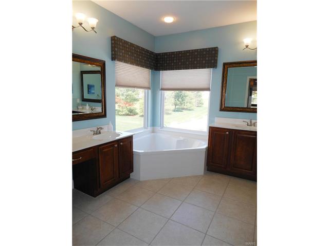 20 Clear Meadows Ct, O'fallon, MO 63366 photo 66