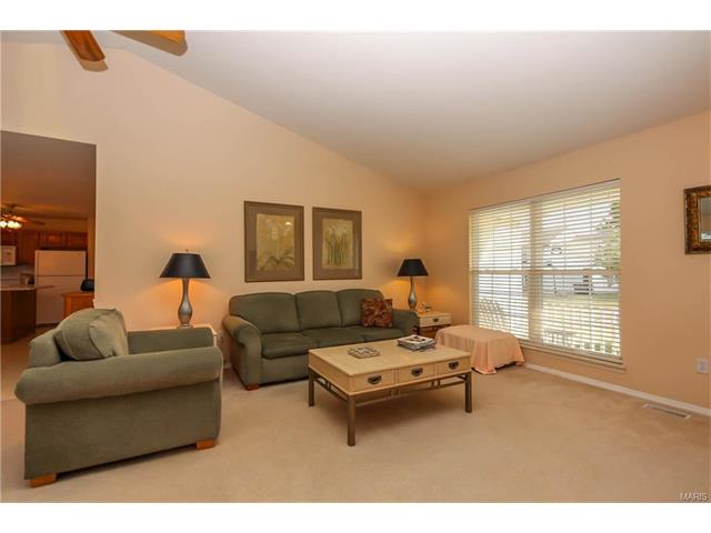 13 Royalltrail, O'fallon, MO 63368 photo 8