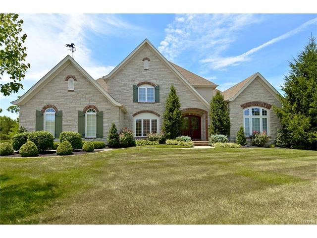 317 Barn Side Ln, Eureka, MO 63025 photo 1