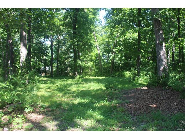7223 Weldon Spring Rd, O'fallon, MO 63368 photo 7