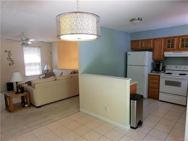 529 Great Hill Dr, Ballwin, MO 63021 photo 8