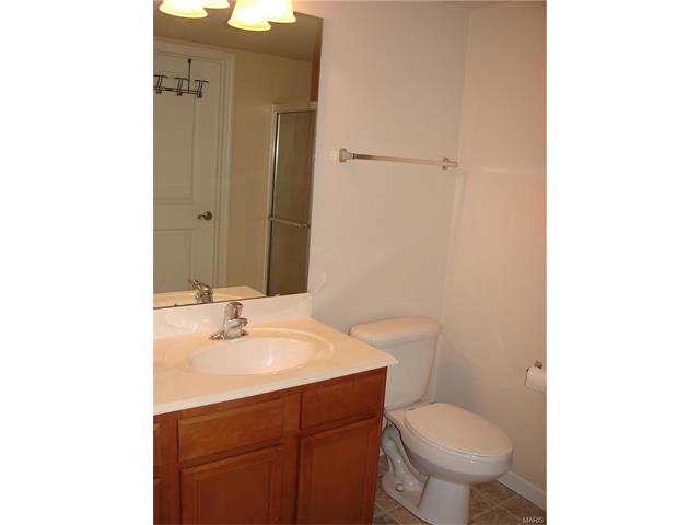 423 Bramblett Hls, O'fallon, MO 63366 photo 10