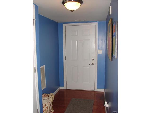 423 Bramblett Hls, O'fallon, MO 63366 photo 3