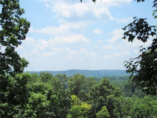 601 N High Post Rd, Augusta, MO 63332 photo 5