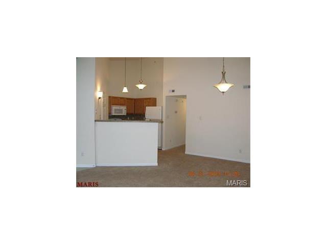 1614 Forest Spgs #D, Ballwin, MO 63021 photo 6