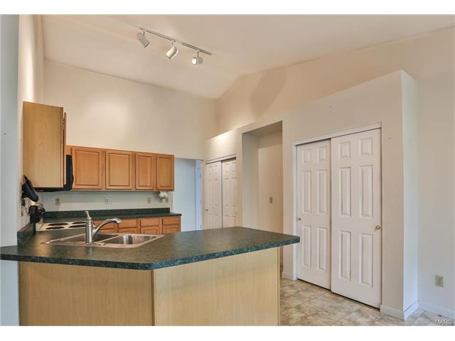 263 Windy Acres Estates Dr, Ballwin, MO 63021 photo 6
