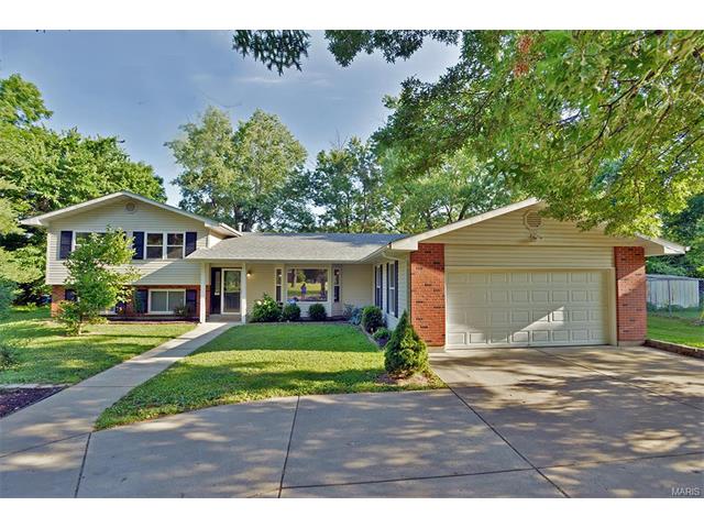 766 Sulphur Spring Ct, Ballwin, MO 63021 photo 38