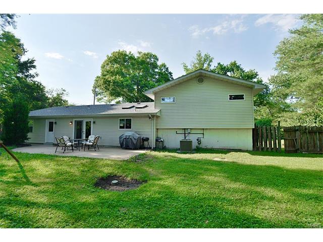 766 Sulphur Spring Ct, Ballwin, MO 63021 photo 36