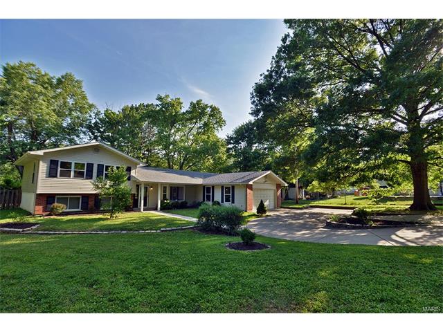 766 Sulphur Spring Ct, Ballwin, MO 63021 photo 39