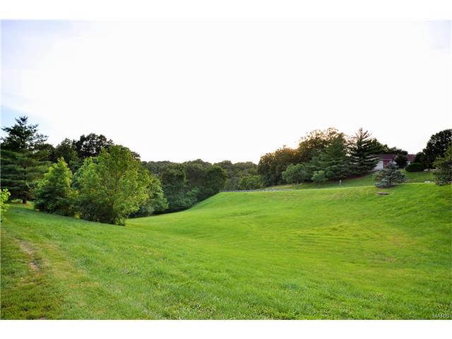 717 Ridgeside Dr #B, Ballwin, MO 63021 photo 5