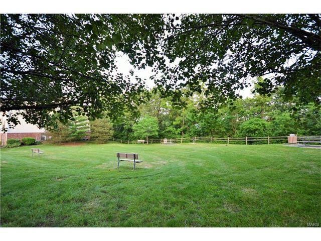 717 Ridgeside Dr #B, Ballwin, MO 63021 photo 6