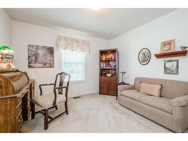 14 Briarcastle Ct, O'fallon, MO 63366 photo 22