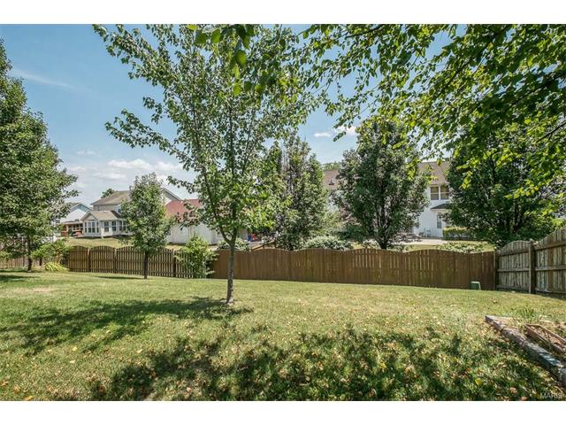 14 Briarcastle Ct, O'fallon, MO 63366 photo 27