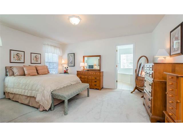 14 Briarcastle Ct, O'fallon, MO 63366 photo 16