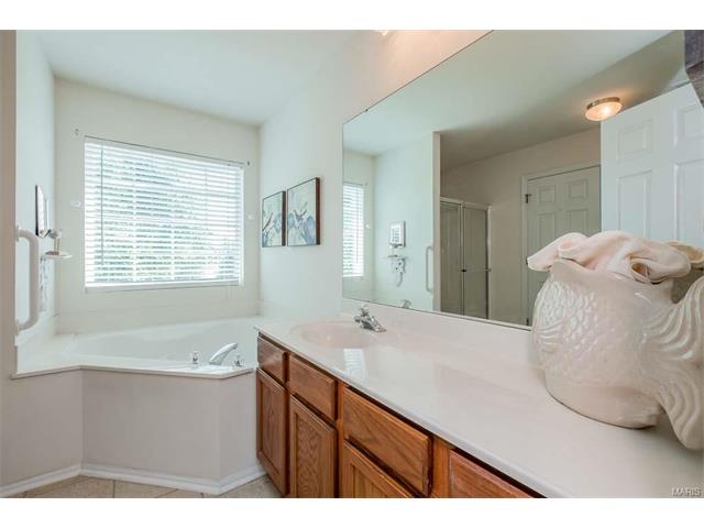 14 Briarcastle Ct, O'fallon, MO 63366 photo 18