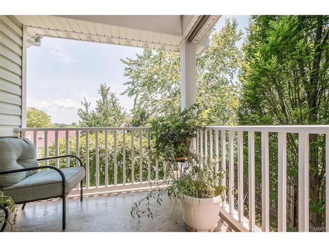 14 Briarcastle Ct, O'fallon, MO 63366 photo 26