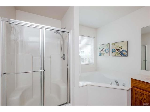 14 Briarcastle Ct, O'fallon, MO 63366 photo 19