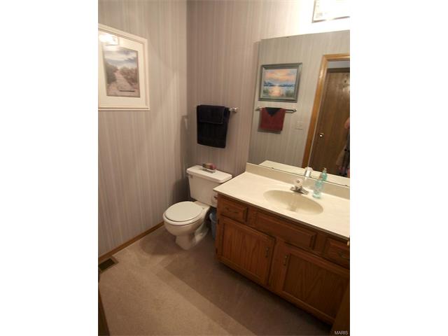 579 Oaktree Crossing Ct, Ballwin, MO 63021 photo 22